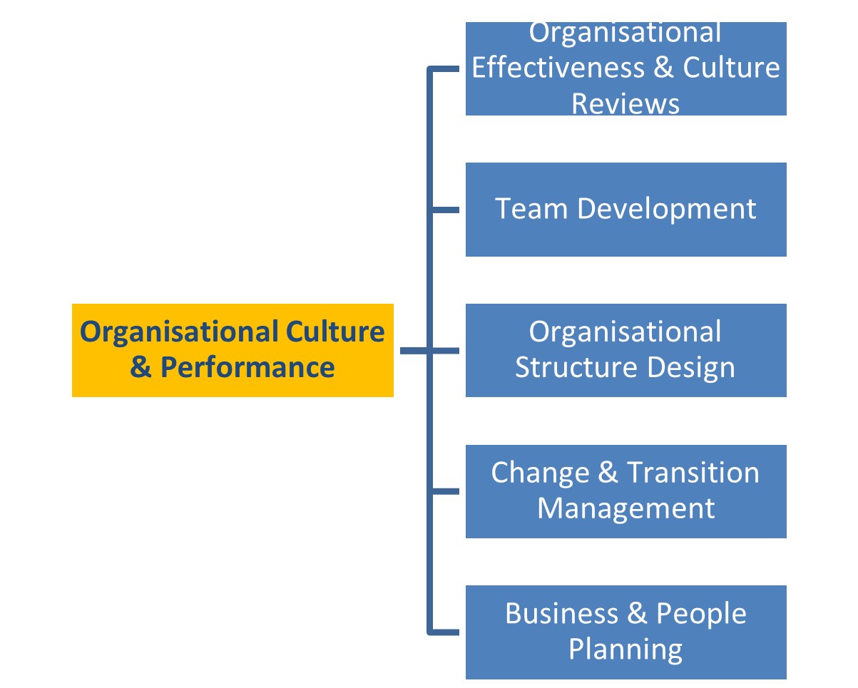 Person Process Cultural Performance Organisational Culture & Performance – Human Resource and ...
